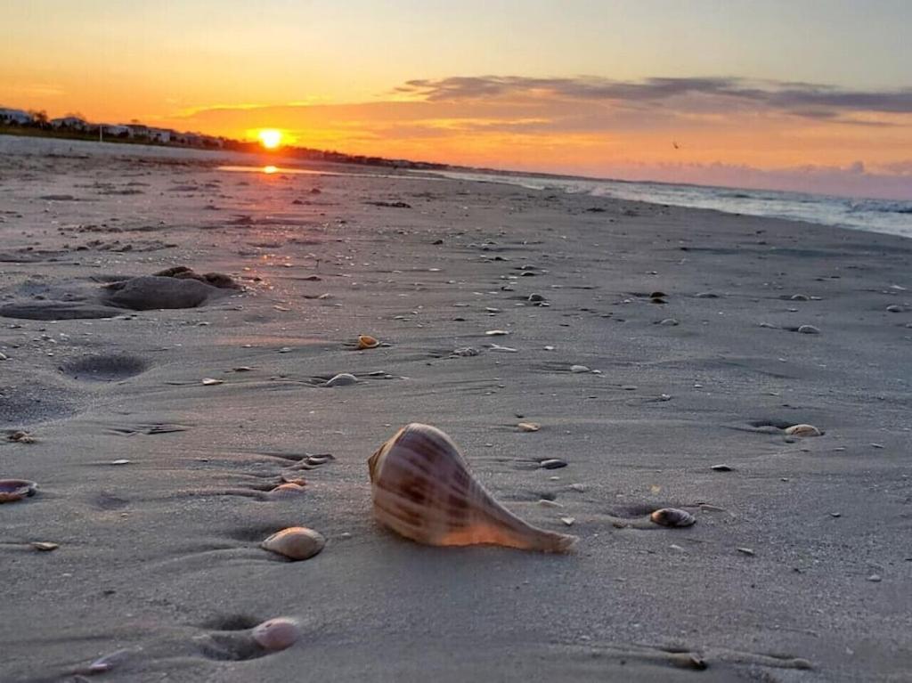 Cape San Blas Tortuga Tillys מראה חיצוני תמונה
