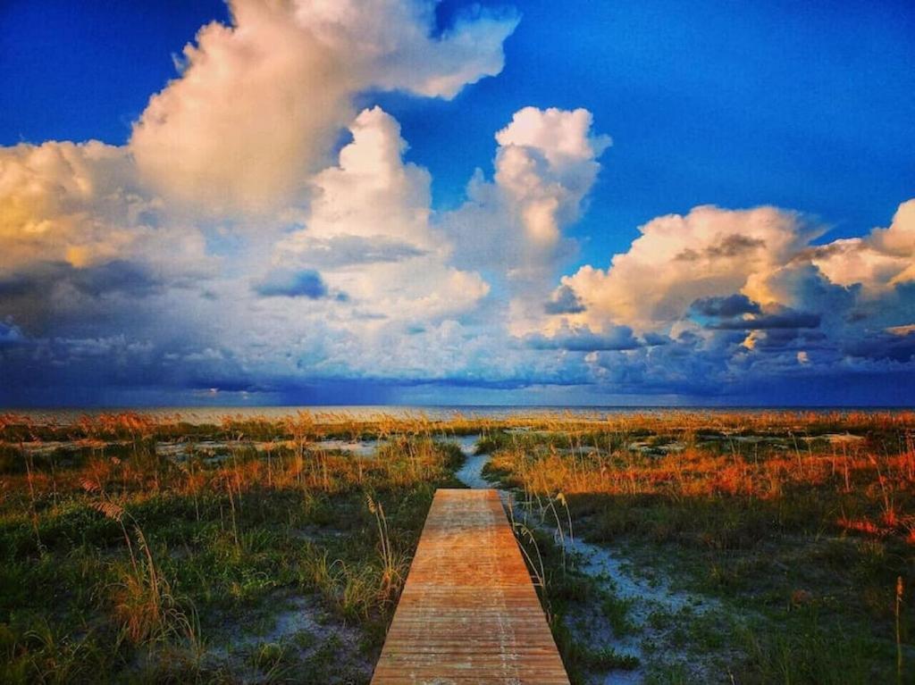 Cape San Blas Tortuga Tillys מראה חיצוני תמונה