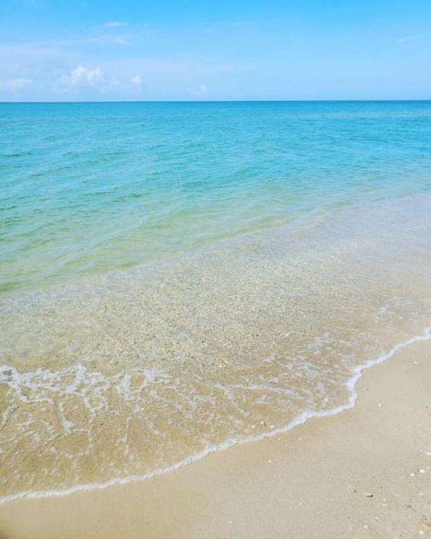 Cape San Blas Tortuga Tillys מראה חיצוני תמונה