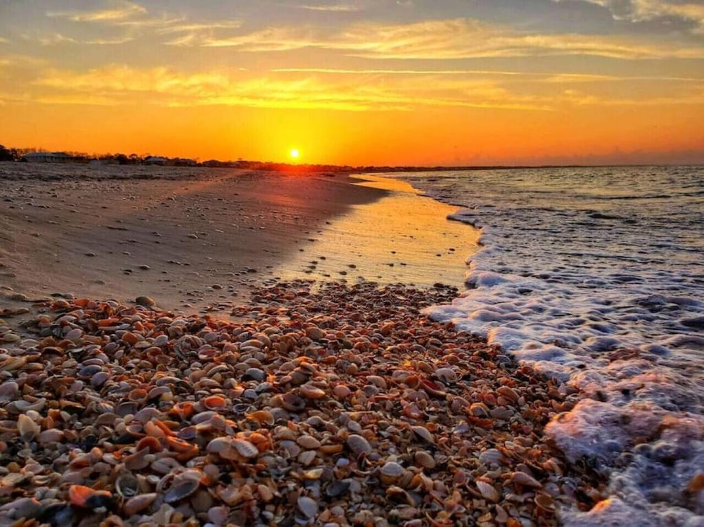 Cape San Blas Tortuga Tillys מראה חיצוני תמונה